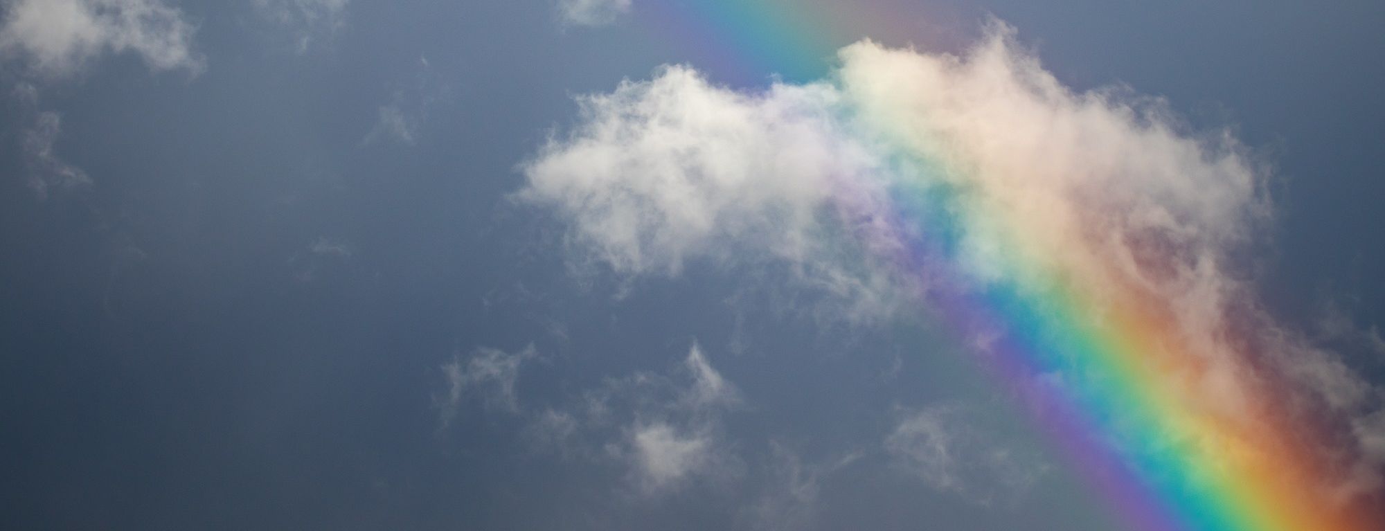 Ein Regenbogen symbolisiert die Vielfältigkeit, die das Thema Geschlechterfragen beinhaltet.